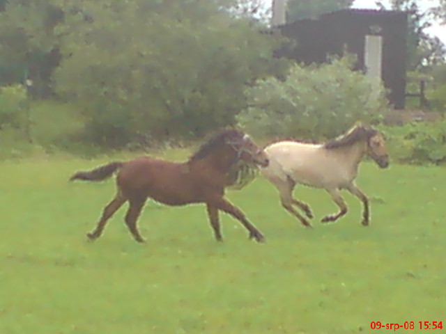 DSC00415.JPG